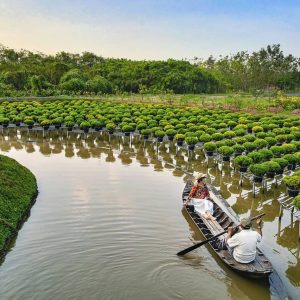 farm-6948514_1280