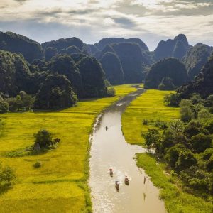 tam-coc-golden-harvest-5222569_1280